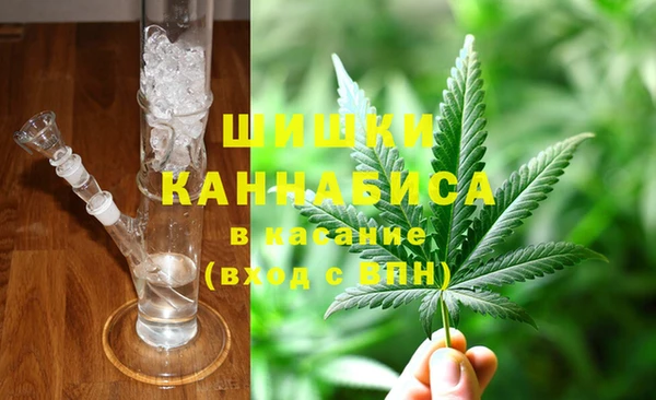 PSILOCYBIN Балабаново