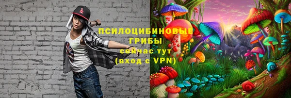 кокс Баксан