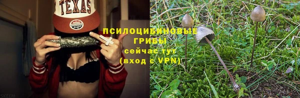 PSILOCYBIN Балабаново