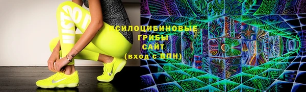 PSILOCYBIN Балабаново